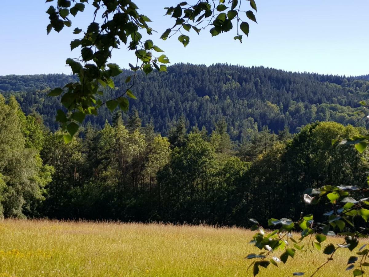 Apartman Na Vrsku Klenovice  Bagian luar foto