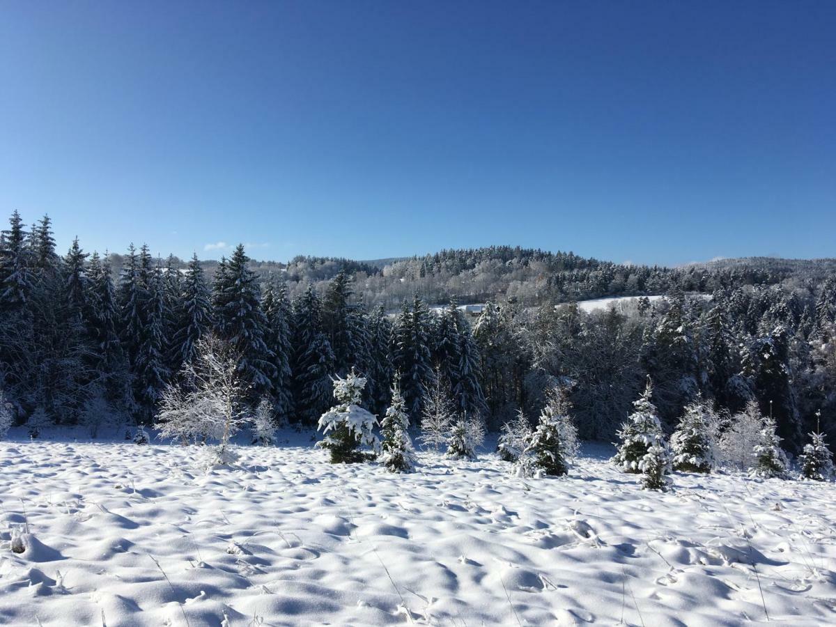 Apartman Na Vrsku Klenovice  Bagian luar foto